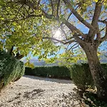 Palazzo Palitti Bed & Breakfast