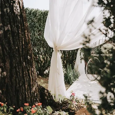 Palazzo Palitti Alojamento de Acomodação e Pequeno-almoço 3*