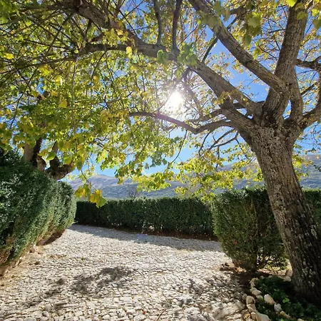 Palazzo Palitti Bed and Breakfast