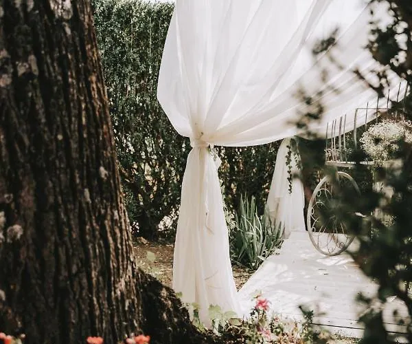 Palazzo Palitti Bed & Breakfast 3*