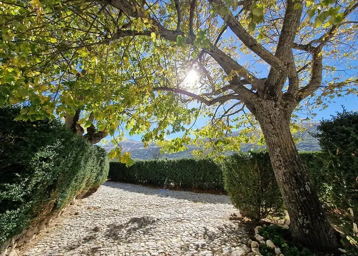 Palazzo Palitti Bed & Breakfast